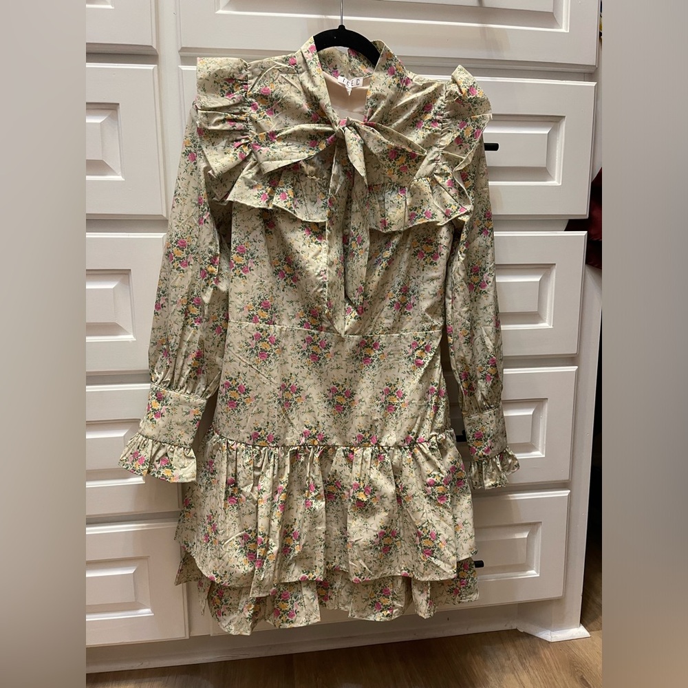 NWT TCEC dress with tie collar and ruffle skirt.